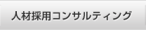 人材採用コンサルティング 