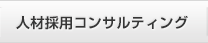 人材採用コンサルティング 